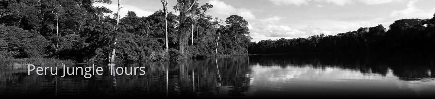 Jungle Tours / Rent a Car Peru